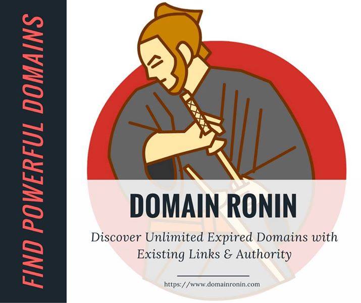 Domain-ronin